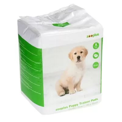 Támogasd a cicákat Puppy Trainer Pads betét szobatisztaságra neveléshez – mi megvesszük helyetted!
